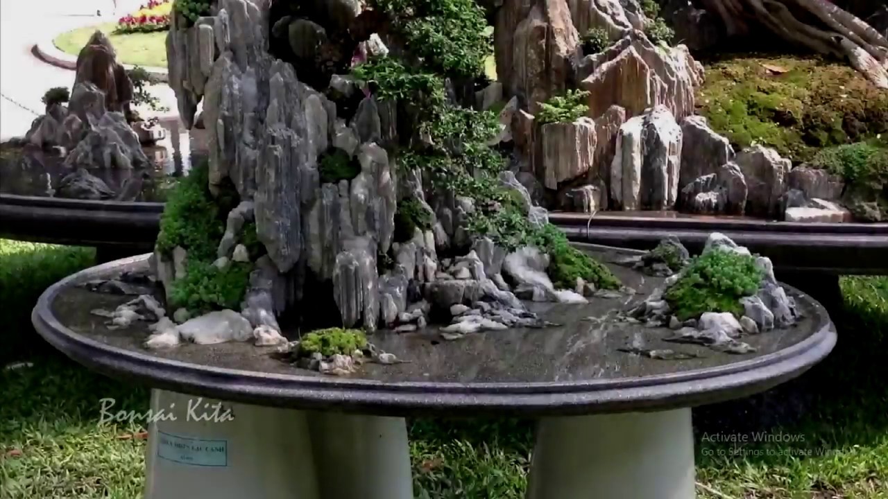 Detail Bonsai Penjing Jepang Nomer 8