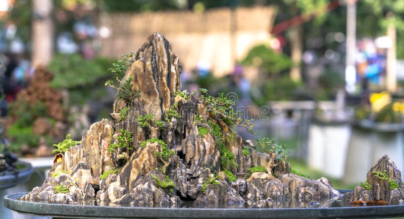 Detail Bonsai Penjing Vietnam Nomer 36