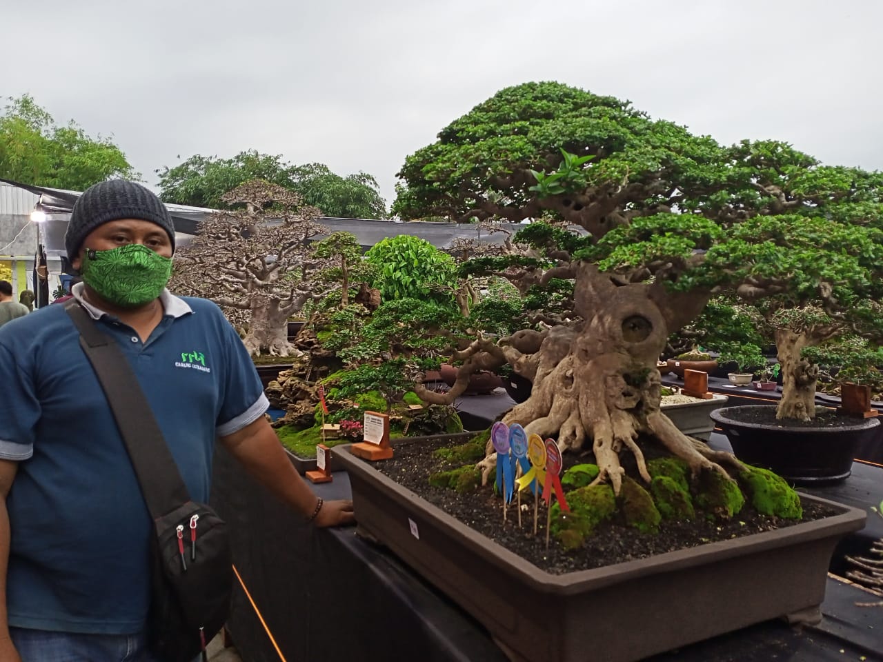 Detail Bonsai Sancang Besar Nomer 8