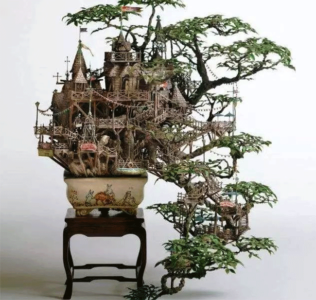 Detail Bonsai Terbaik Di Dunia Nomer 51