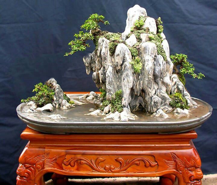 Detail Bonsai Vietnam Penjing Nomer 26