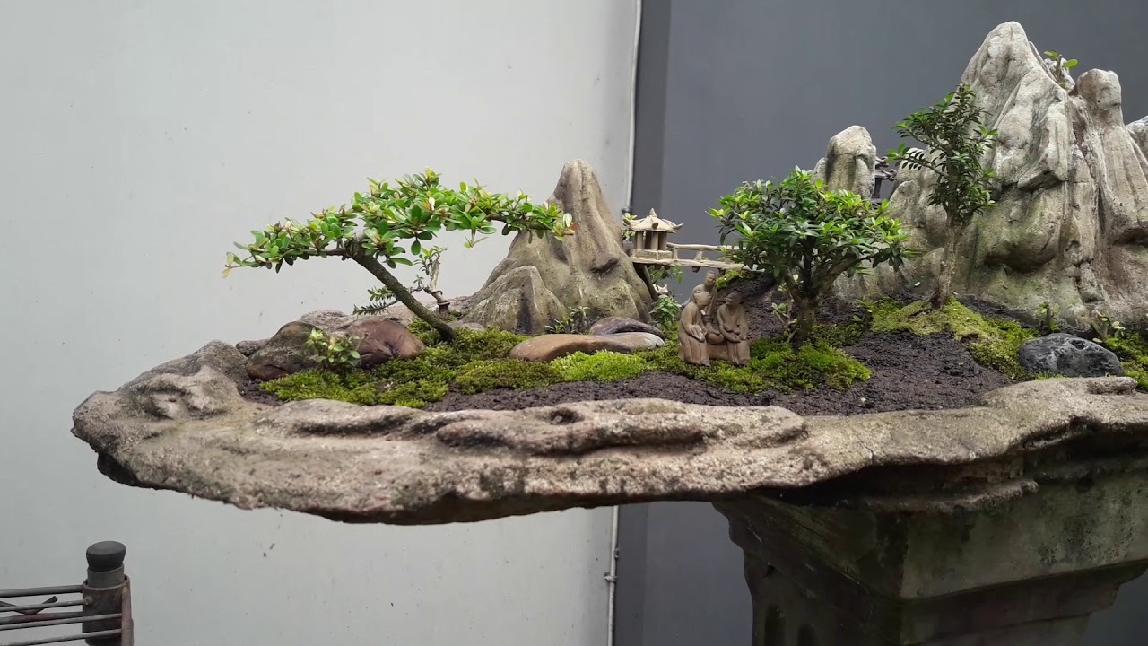 Detail Bonsai Vietnam Penjing Nomer 39