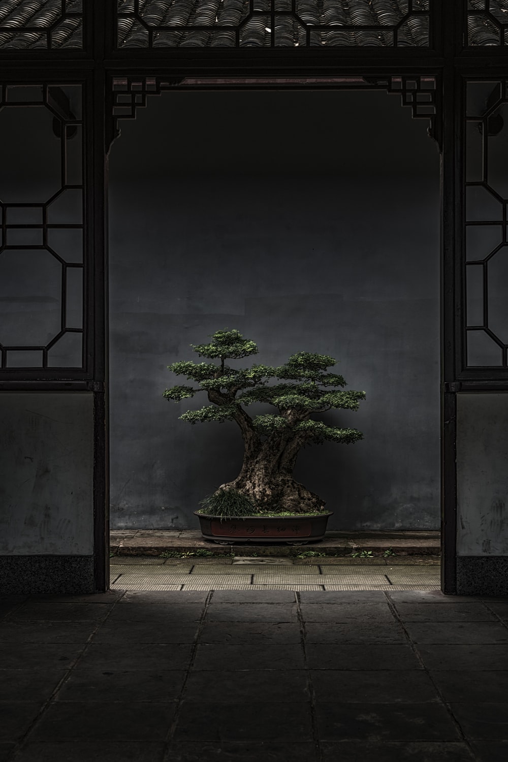 Detail Bonsai Wallpaper Nomer 2