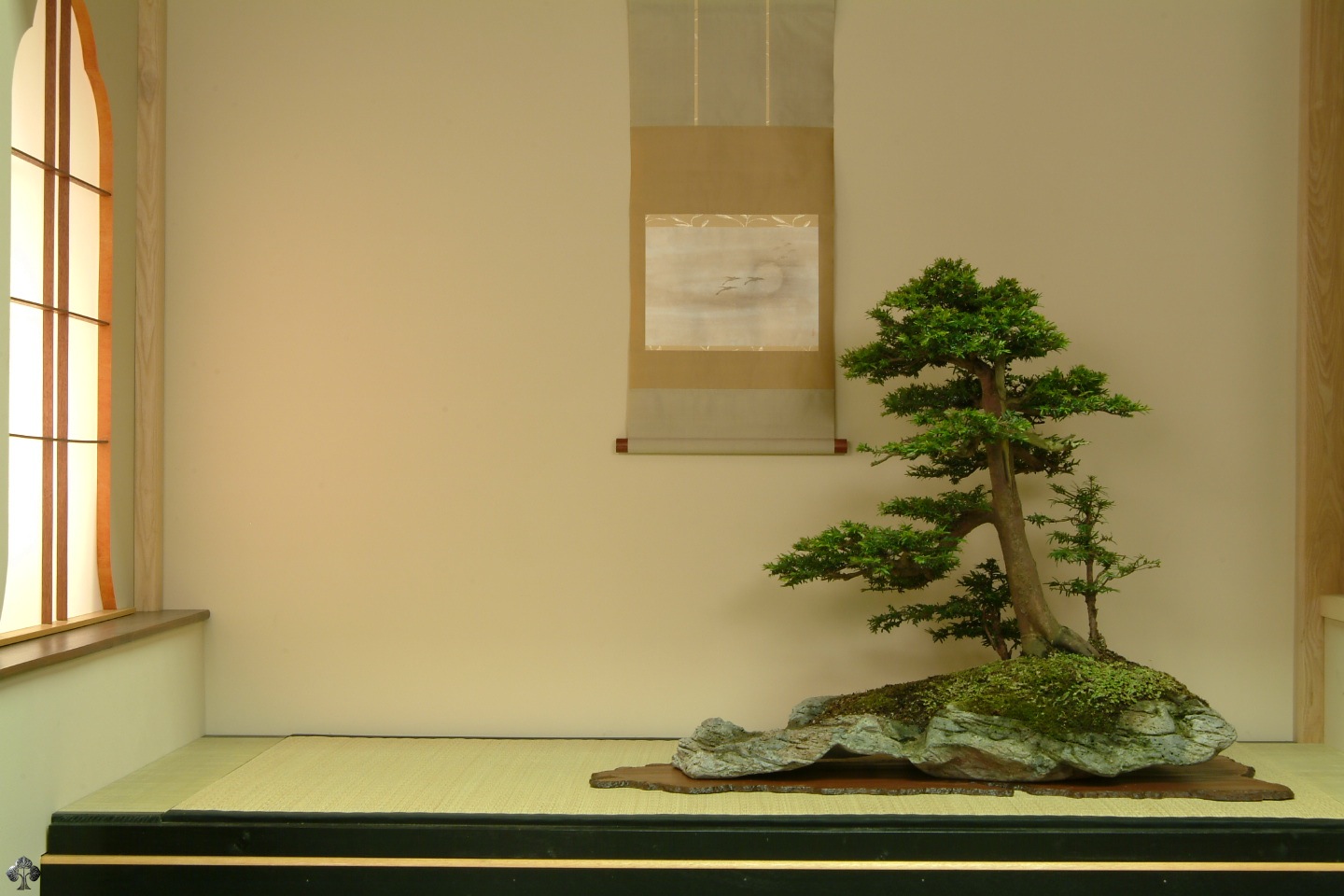 Detail Bonsai Wallpaper Nomer 13