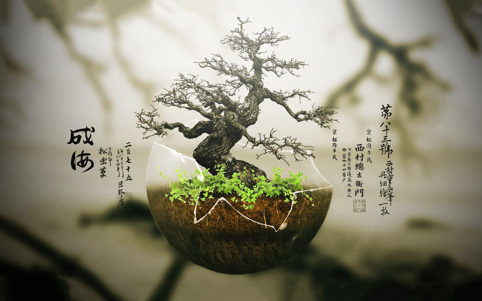 Detail Bonsai Wallpaper Nomer 3