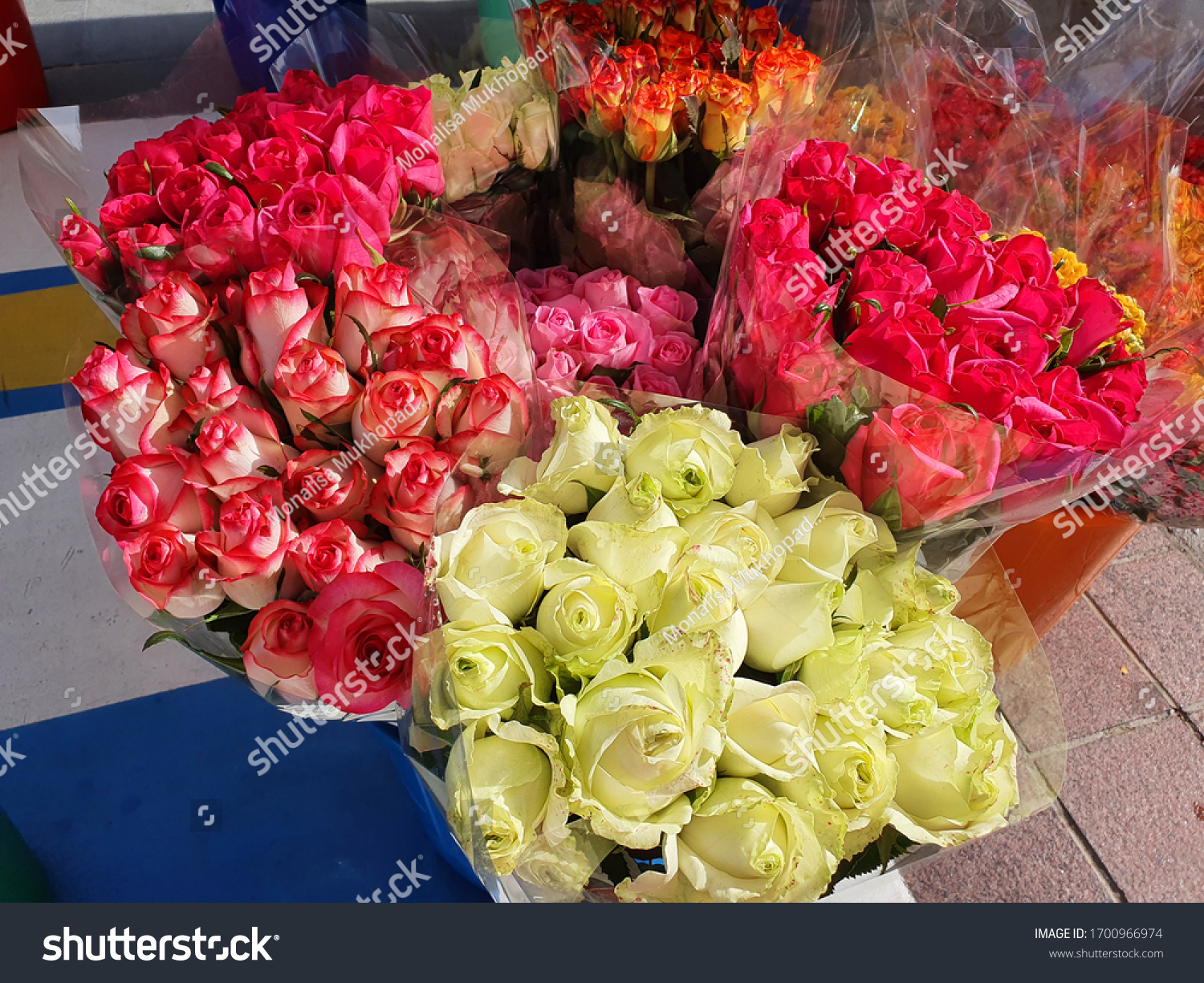 Detail Bookey Of Flowers Nomer 47