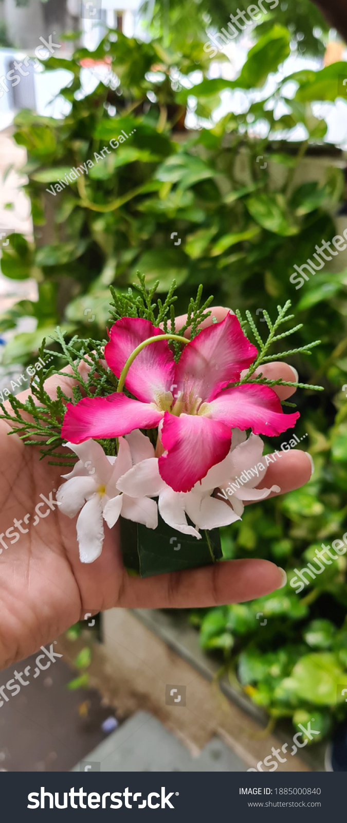 Detail Bookey Of Flowers Nomer 53