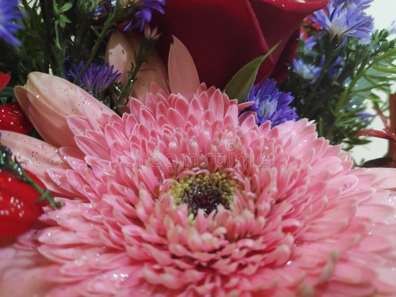 Detail Bookey Of Flowers Nomer 57