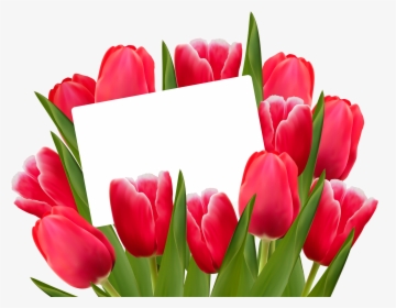 Detail Border Bunga Tulip Nomer 23