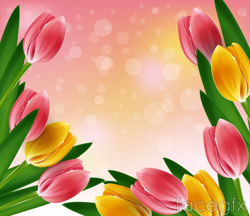 Detail Border Bunga Tulip Nomer 6