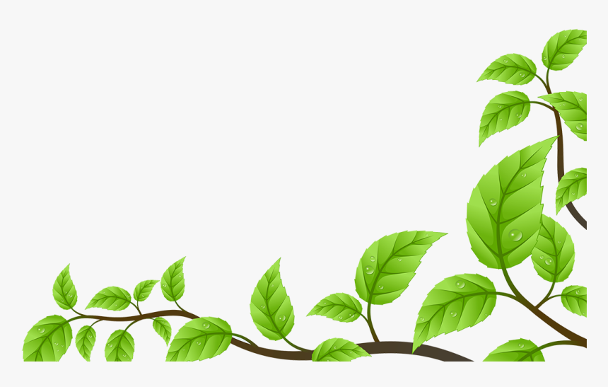 Border Daun Png - KibrisPDR