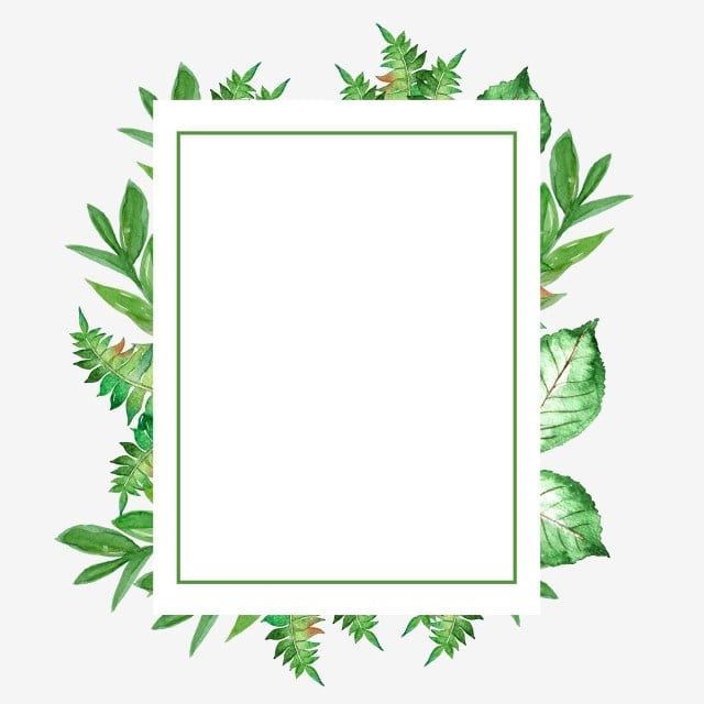 Detail Border Daun Png Nomer 2