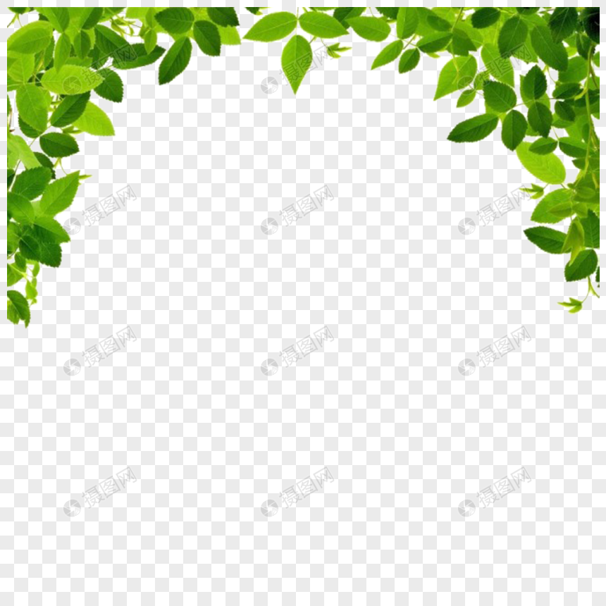 Detail Border Daun Png Nomer 11