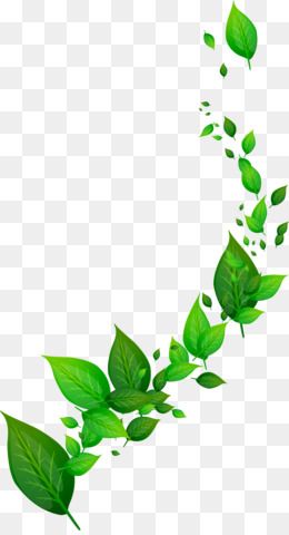 Detail Border Daun Png Nomer 14