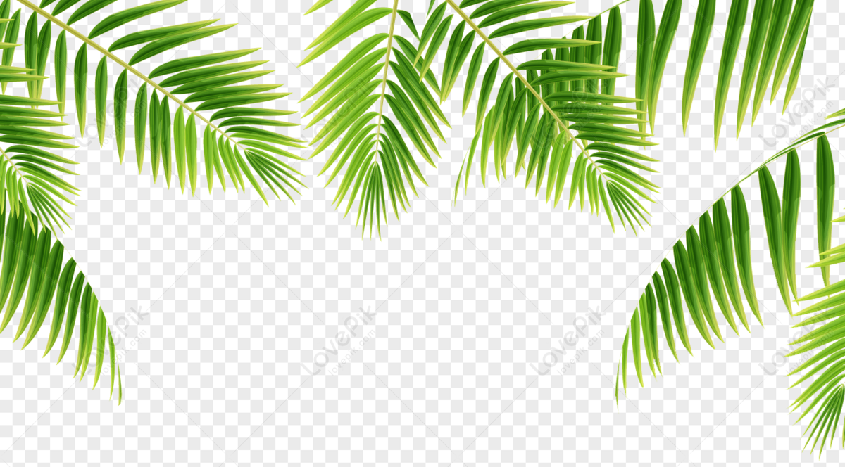 Detail Border Daun Png Nomer 17