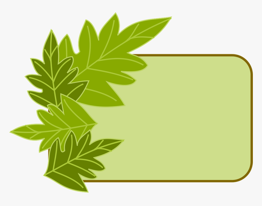 Detail Border Daun Png Nomer 18