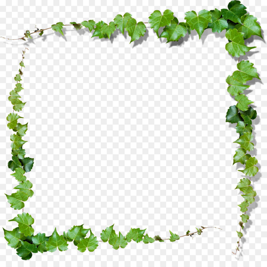Detail Border Daun Png Nomer 23