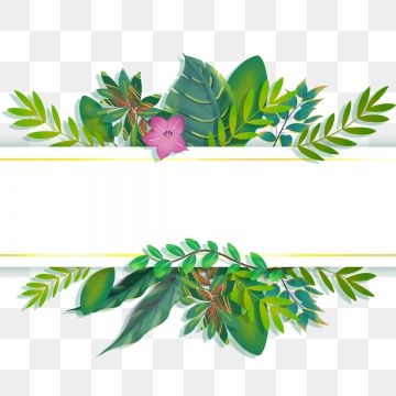 Detail Border Daun Png Nomer 45