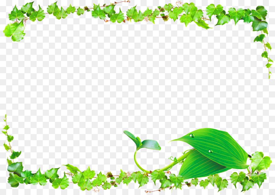 Detail Border Daun Png Nomer 46