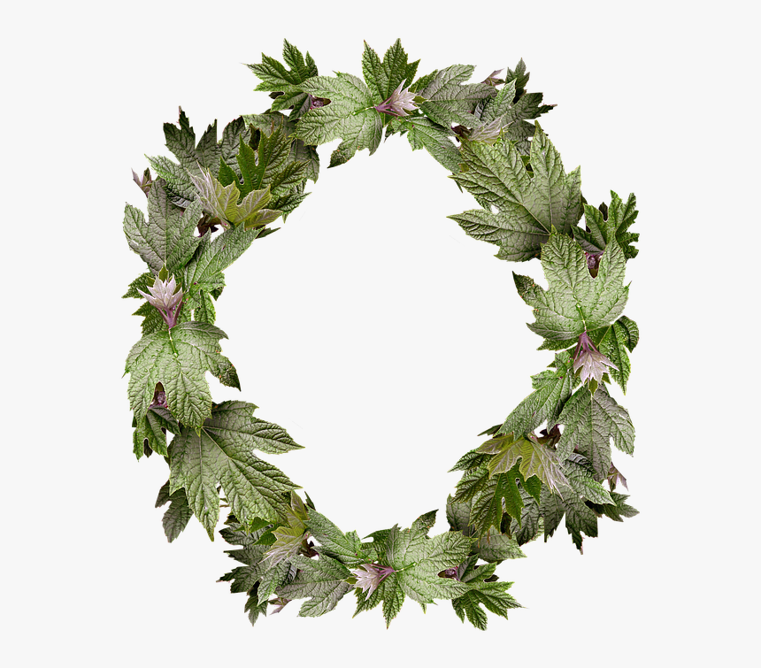 Detail Border Daun Png Nomer 53