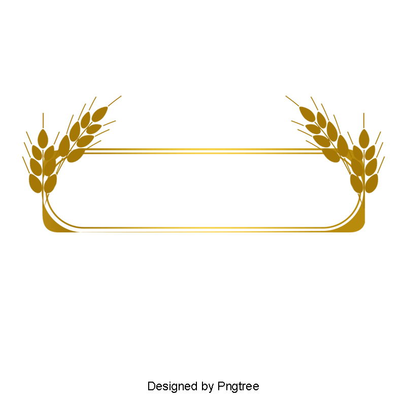Detail Border Line Design Png Nomer 19