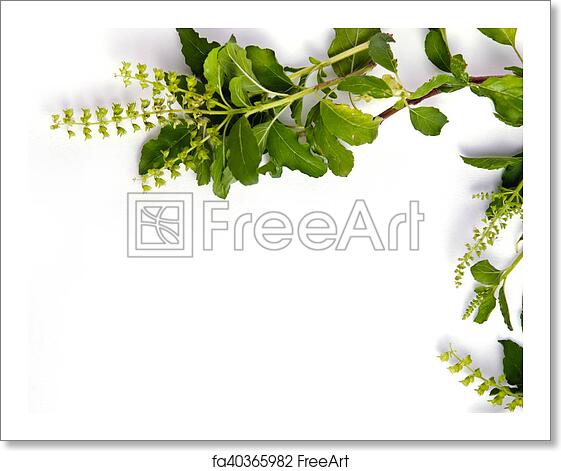 Detail Border Resmi Nomer 45