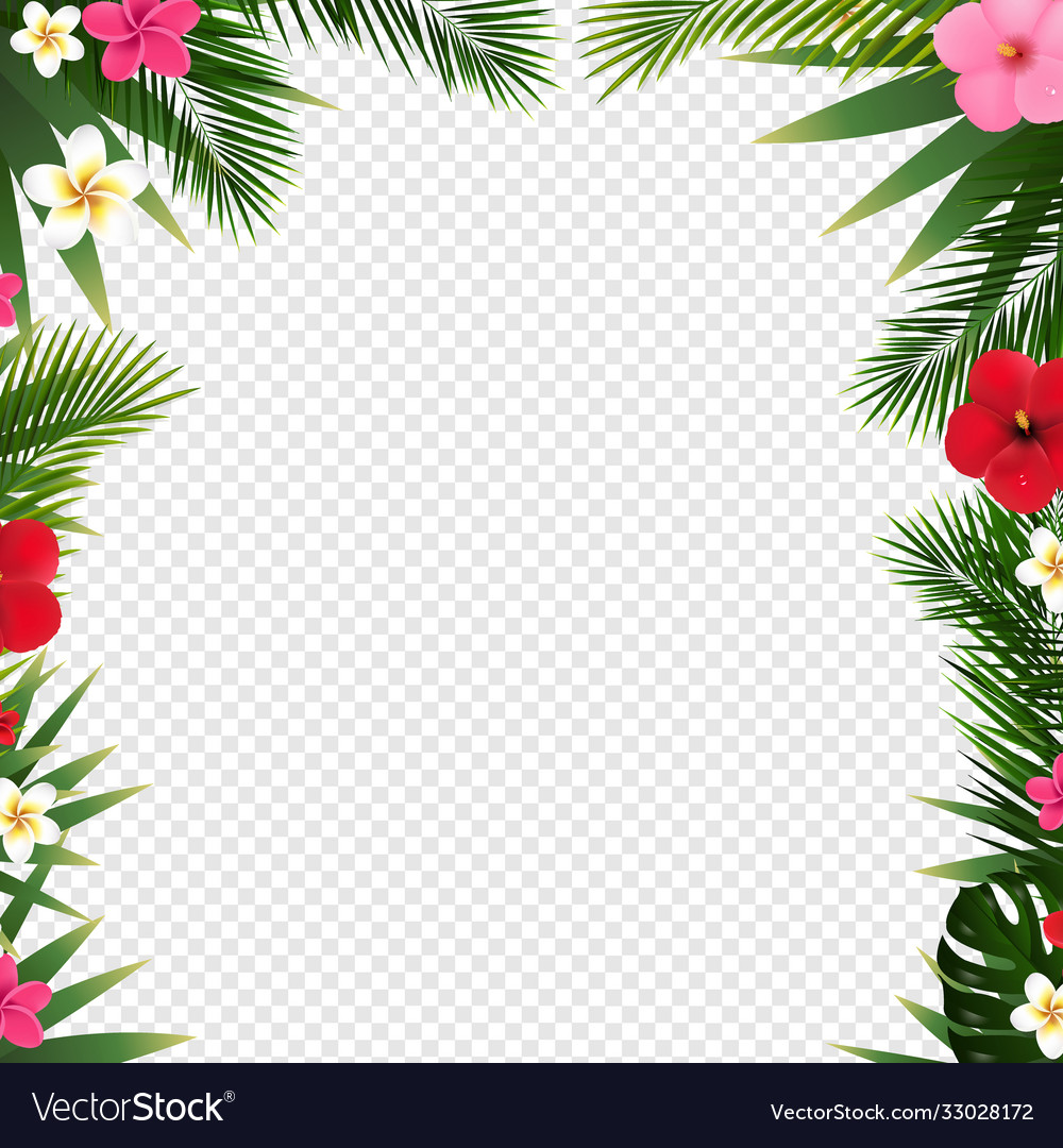 Detail Border Transparan Nomer 47
