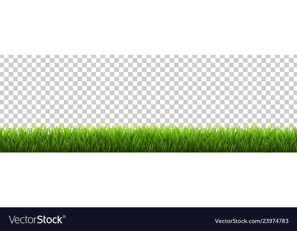 Detail Border Transparan Nomer 8