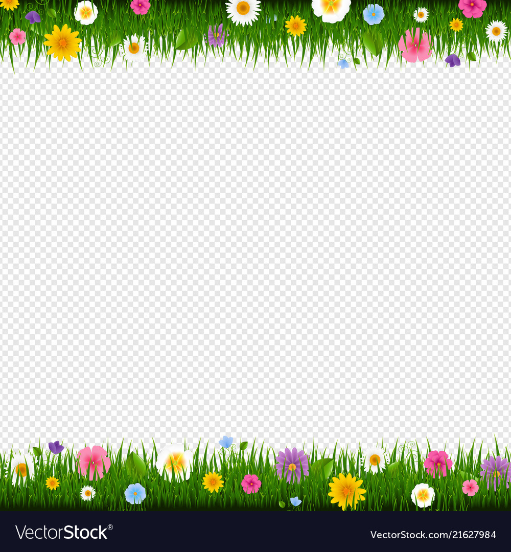 Detail Border Transparent Background Nomer 35