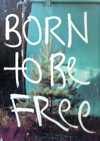 Detail Born To Be Free Quotes Nomer 21