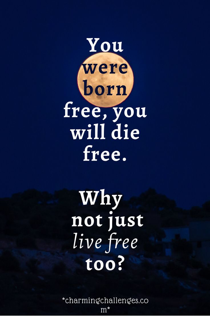 Detail Born To Be Free Quotes Nomer 47