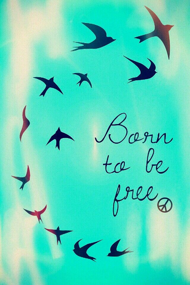 Detail Born To Be Free Quotes Nomer 9