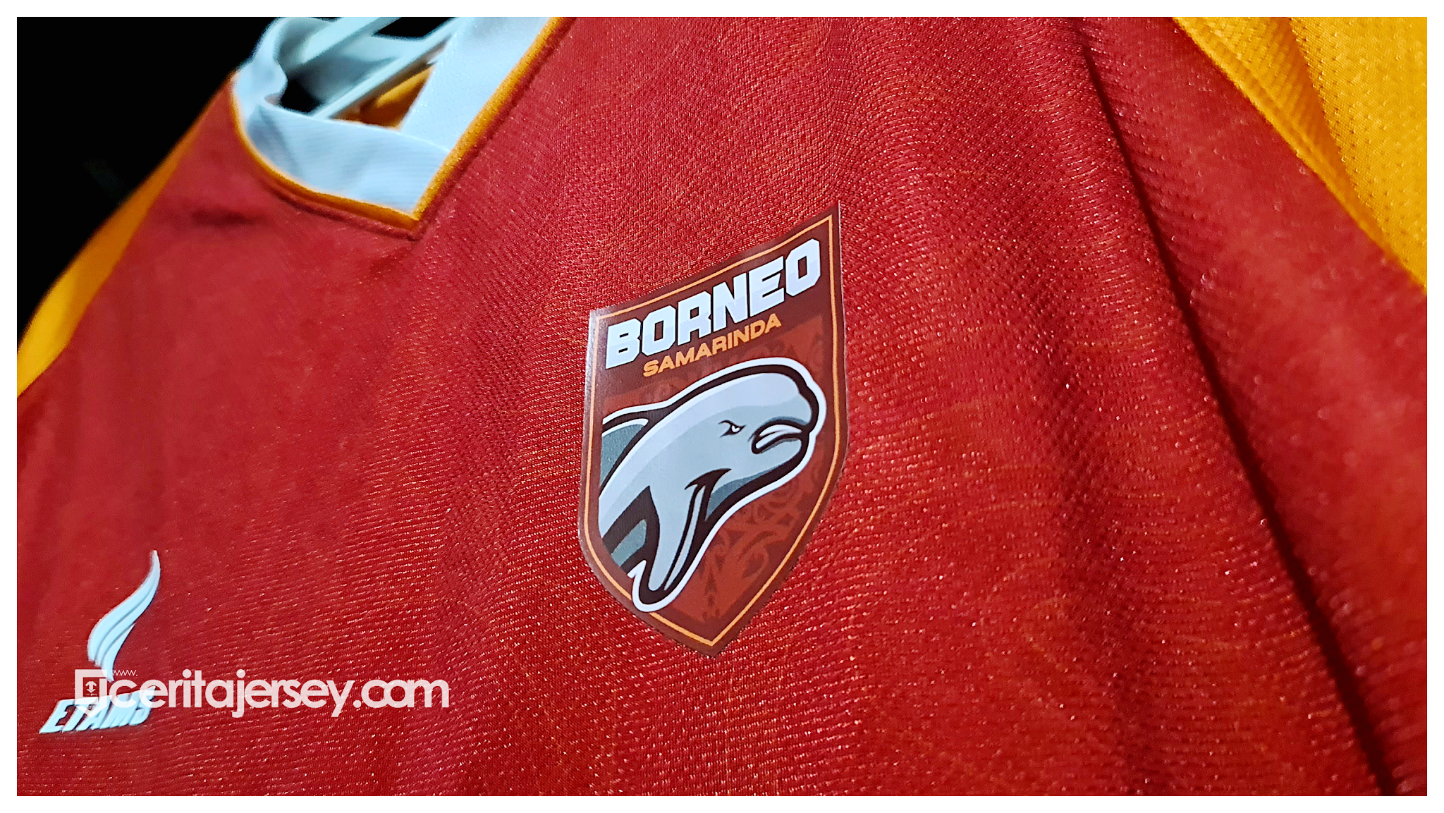 Detail Borneo Fc Logo Png Nomer 56