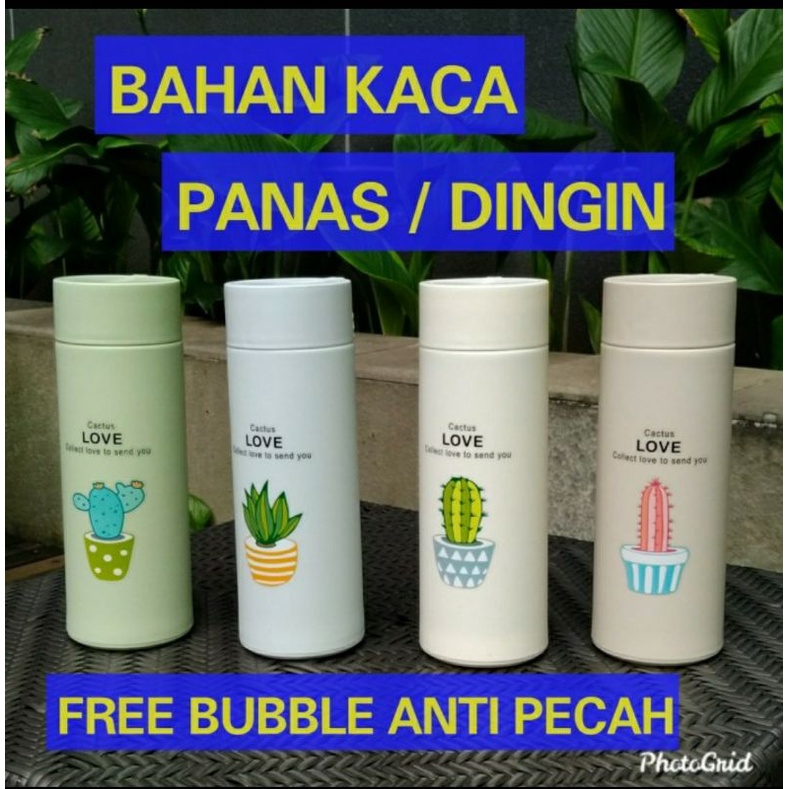 Detail Botol Minum Kaca Kaktus Nomer 42