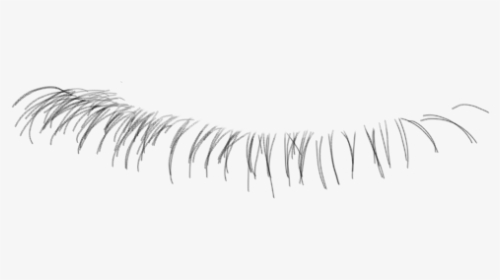 Detail Bottom Lashes Png Nomer 17