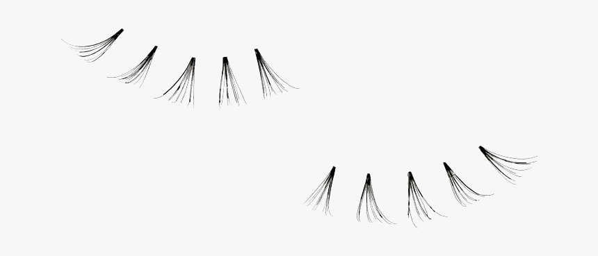 Detail Bottom Lashes Png Nomer 4