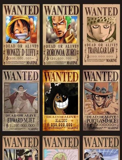 Detail Bounty One Piece Hd Nomer 49