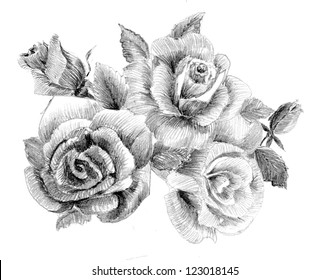 Detail Bouquet Of Flowers Pencil Drawing Nomer 31