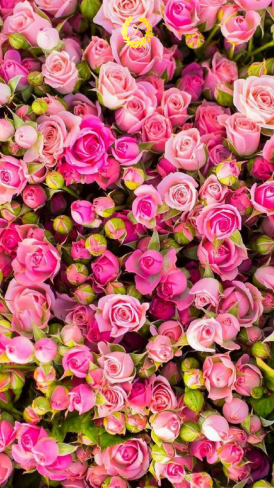 Detail Bouquet Wallpapers Nomer 52