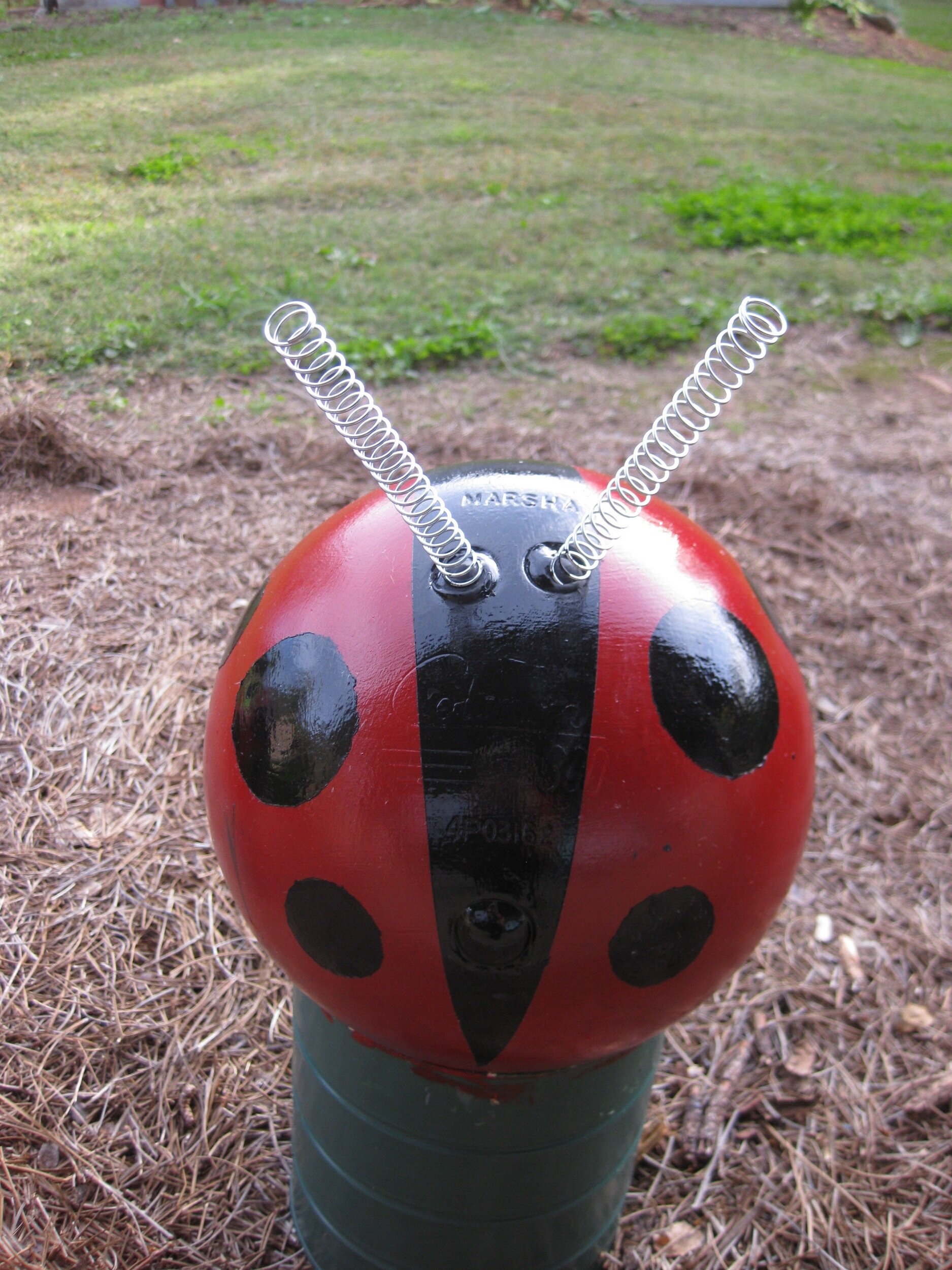 Detail Bowling Ball Ladybug Art Nomer 15