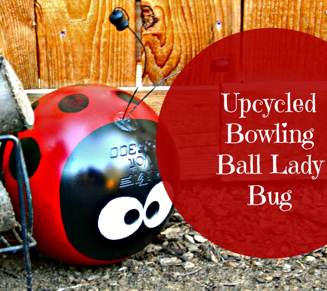 Detail Bowling Ball Ladybug Art Nomer 8