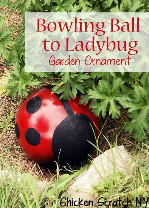 Detail Bowling Ball Ladybug Art Nomer 9