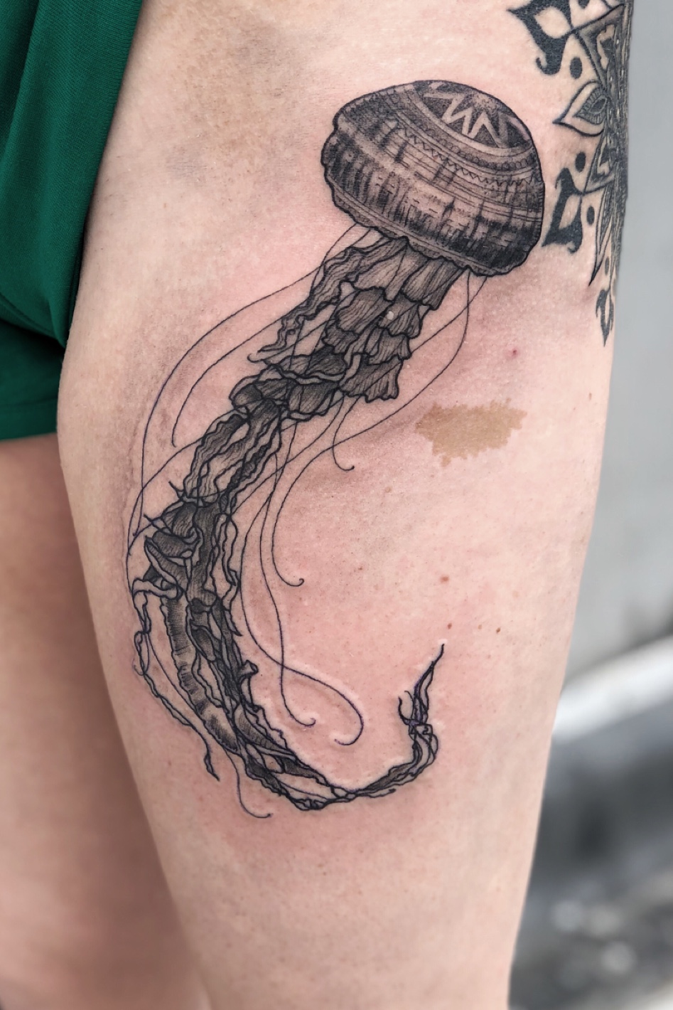 Detail Box Jellyfish Tattoo Nomer 49