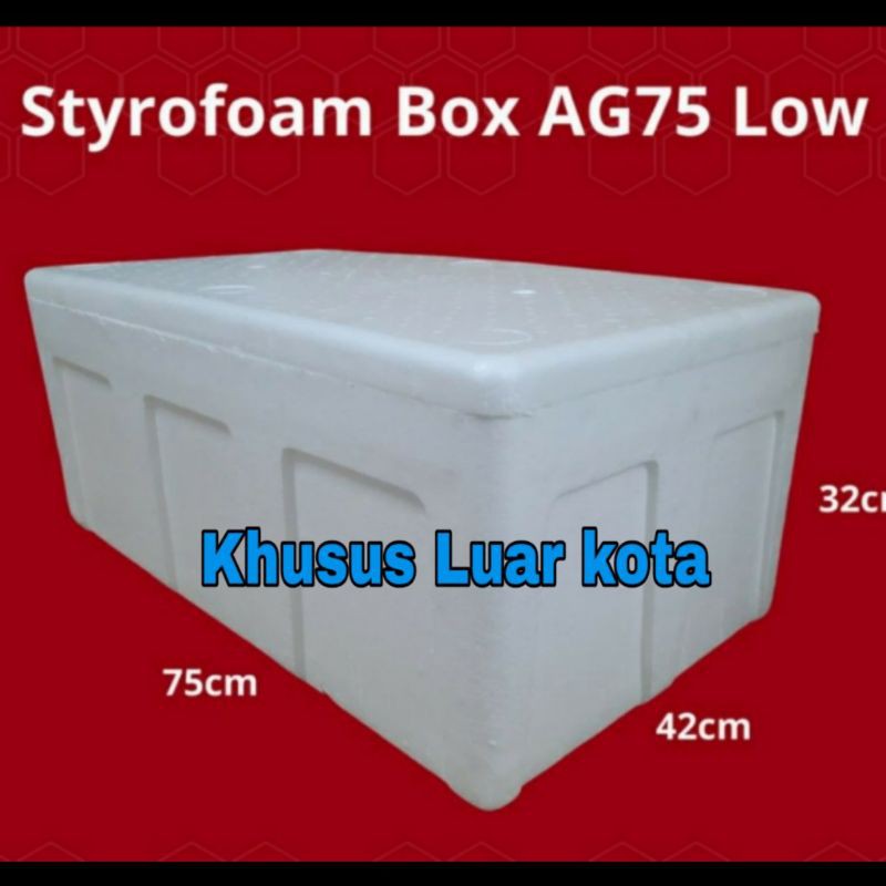 Detail Box Styrofoam Ukuran 1 Meter Nomer 16