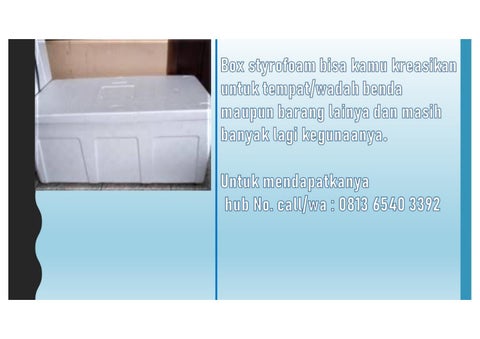 Detail Box Styrofoam Ukuran 1 Meter Nomer 18