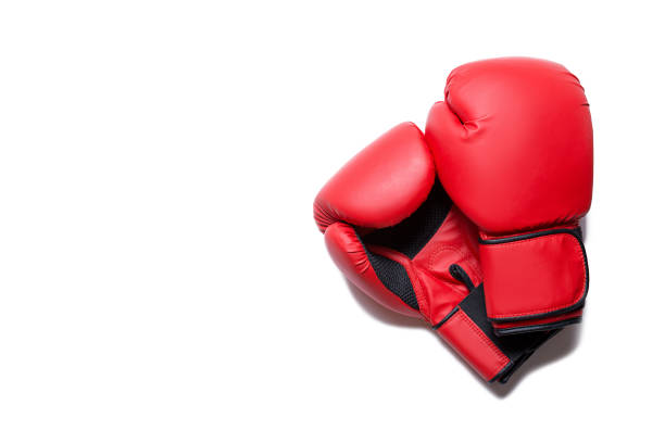 Detail Boxing Glove Image Nomer 23