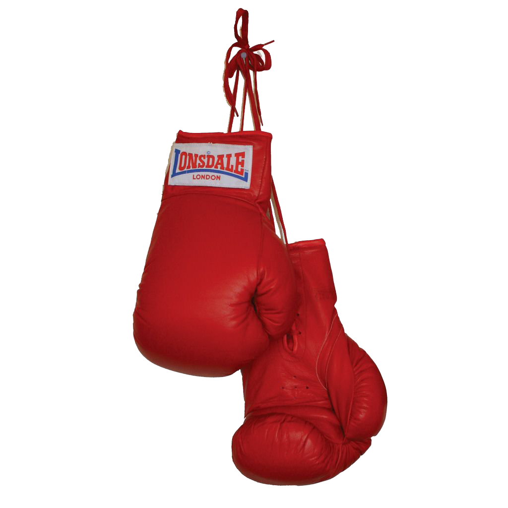 Detail Boxing Glove Photo Nomer 25