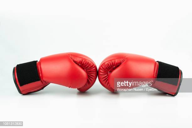 Detail Boxing Glove Pic Nomer 53