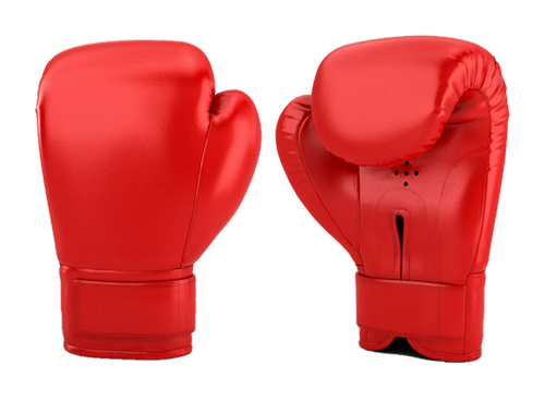Detail Boxing Glove Picture Nomer 12