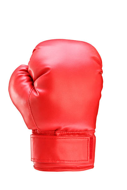 Detail Boxing Glove Picture Nomer 5